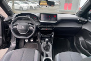 208 1.0 FIREFLY FLEX STYLE MANUAL 2024  Miniatura