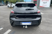 208 1.0 FIREFLY FLEX STYLE MANUAL 2024  Miniatura